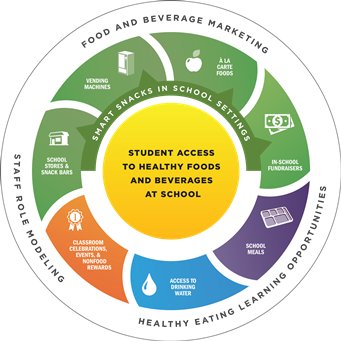 Nutrition Model Infographic 