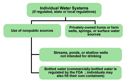 	Illustration of Individual Water Systems which are divided into two areas. The first area is the use of non-public sources such as ponds, streams or bottled water and the second areas is privately-owned home or farm wells, springs, or surface water sources.