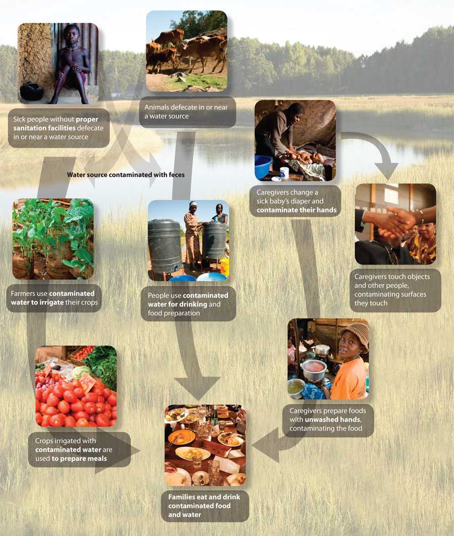 	Pathways to Diarrhea - a chart showing images of different sources for infection. Water sources are contaminated with feces, then armers irrigate their crops or people use contaminated water for drinking and food preparation, resulting in families eating and drinking contaminated food and water. Caregivers can also change a sick babys diaper and contaminate their hands. They touch other people or then prepare food. This too results in families eating and drinking contaminated food and water.