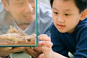 father and son looking at lizard