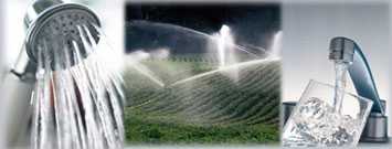 A picture of a shower head, sprinklers, and a faucet.