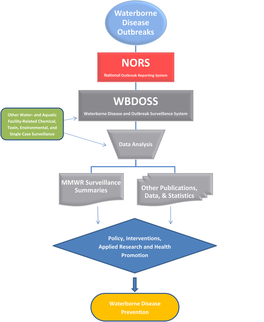 	Large image of flowchart for data sources and outputs for the waterborne disease and outbreak surveillance system