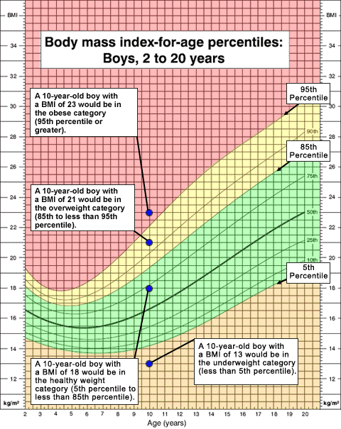  Growth chart example showing range of different BMI percentiles for height and age.