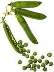 	photo of peas