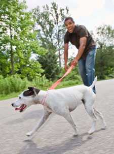 hombre paseando a un perro