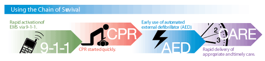 The chances of surviving a heart attack are greater when emergency treatment begins quickly.