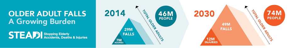 Older Adult Falls: A Growing Burden. STEADI: Stopping Elderly Accidents, Deaths & Injuries. 2014: 46M total older adults, 7M injuries, 29M falls. 2030: 74M total older adults, 12M injuries, 49M falls