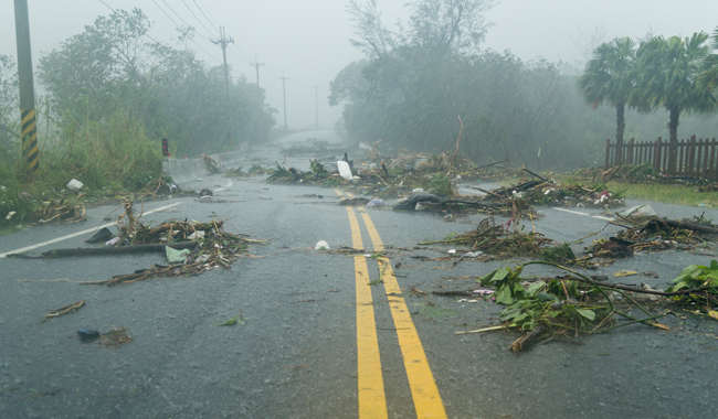 Be Safe After a Hurricane