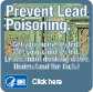 Prevent Lead Poisoning. Get your home tested. Get your child tested. Get the facts! Click here…