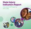 State Injury Indicators Report: Instructions for Preparing 2010 Data cover