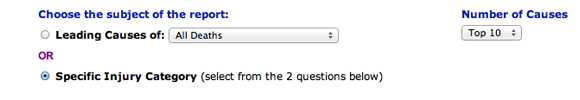 This images shows the option Choose the subject of the report. The choice is given between Leading Causes of Death and the Number of Causes, or to compile data from Specific Injury Category.