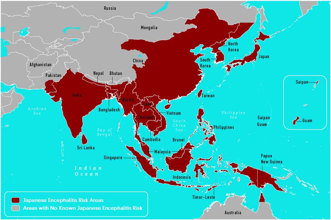 Countries with risk of Japanese encephalitis transmission as described by the data table below.