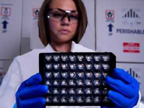 Photo of scientist working in laboratory