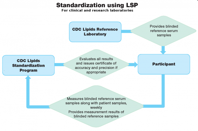 Flowchart showing LSP standardization process