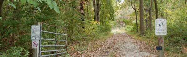 wooded dirt road with an open metal gate.