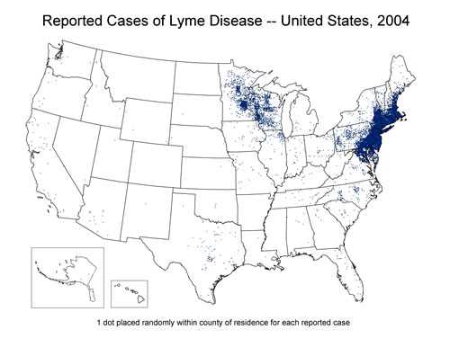 Reported Cases of Lyme Disease 2004