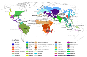 Thumbnail of the mosquito distribution map.