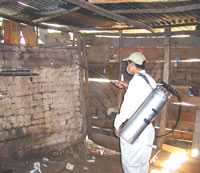 Health workers sparying insecticide on the walls of a wood and adobe dwelling.