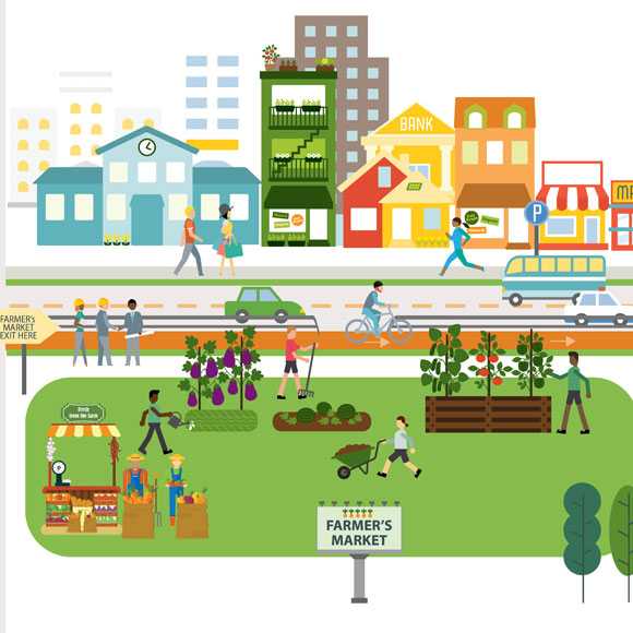 Characterisation of a farmers' market in a metropolitan area