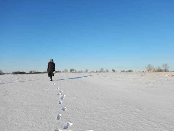  Lina Elbadawi (EIS Class of 2014) treks across a rural Wisconsin farm en route to a home interview. With a colorimeter in tow (blue box in right hand), she measures chlorination of water during site visits in the beginning days of the 2016 Elizabethkingia investigation.