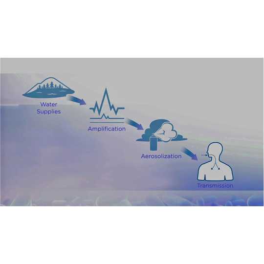 Legionella lives in natural sources of water, but can become a health problem in human-made water systems. To lower the risk of Legionnaires’ disease, it is important to reduce Legionella growth (called amplification) and spread to people when they inhale water droplets (called aerosols).