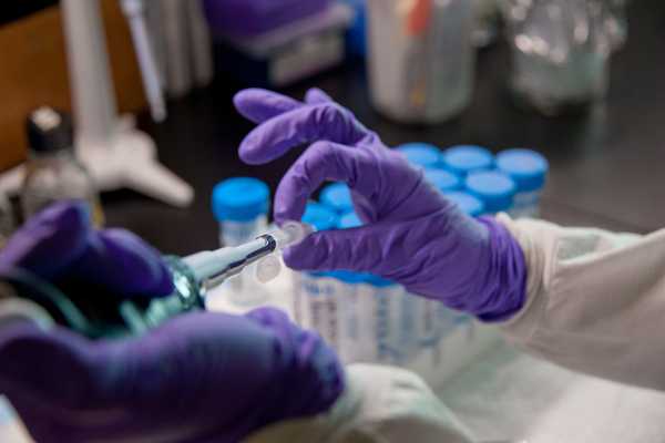 Microbiologist adding molecular scissors (restriction enzymes) that will cut the DNA inside the gelatin plug. This will produce a PFGE pattern or DNA fingerprint. 