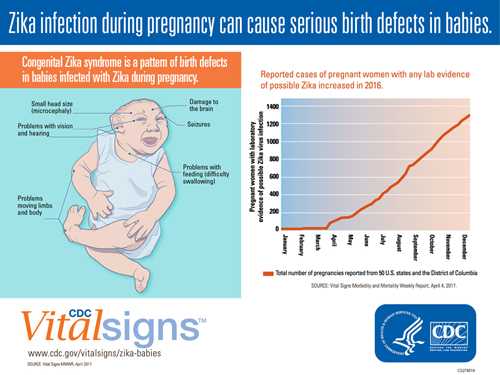 Zika infection during pregnancies can cause serious birth defects in babies.