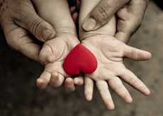 old and young hands holding a velvet heart