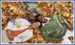 Photo: Kids laying on leaves