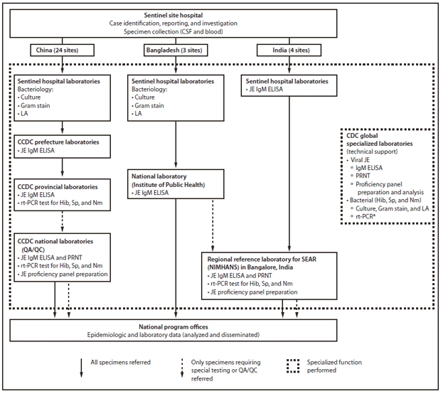 The figure shows functions of various components of acute meningitis/encephalitis syndrome (AMES/AES) surveillance and laboratory networks in China, Bangladesh, and India during 2006-2008. Because considerable personnel, procedural, and specimen-processing differences exist between indirect viral assays and bacterial cultures, bacterial testing was difficult to establish in the polio/measles viral laboratories. Bacterial culture, Gram stain, and latex agglutination (LA) were performed at sentinel hospital laboratories in Bangladesh and China for bacterial (i.e., Neisseria meningitidis, Streptococcus pneumoniae, and Hib) meningitis etiologies.