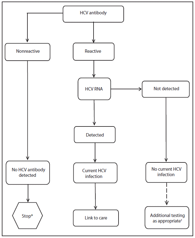 The figure shows the recommended testing sequence for identifying current hepatitis C virus (HCV) infection.  Testing for HCV infection begins with either a rapid or a laboratory-conducted assay for HCV antibody in blood. A nonreactive HCV antibody result indicates no HCV antibody detected. A reactive result indicates one of the following: 1) current HCV infection, 2) past HCV infection that has resolved, or 3) false positivity. A reactive result should be followed by nucleic acid testing for HCV RNA. If HCV RNA is detected, that indicates current HCV infection. If HCV RNA is not detected, that indicates either past, resolved HCV infection, or false HCV antibody positivity.