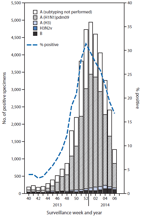 The figure above shows the number and percentage of respiratory specimens testing positive for influenza, by type, surveillance week, and year in the United States during 2013–14. During September 29, 2013–February 8, 2014, approxi¬mately 140 World Health Organization and National Respiratory and Enteric Virus Surveillance System collaborat¬ing laboratories in the United States tested 189,123 respiratory specimens for influenza viruses; 36,619 (19%) were positive.