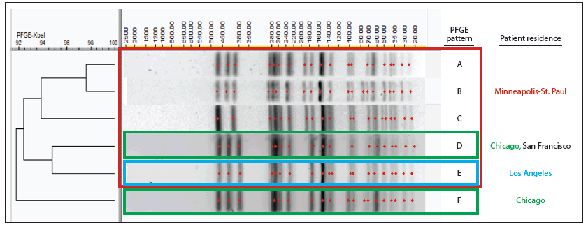 The figure above is a chart showing pulsed-field gel electrophoresis patterns created using enzyme XbaI and associated with outbreaks during 2014–2015 of Shigella sonnei infection with decreased susceptibility to azithromycin among men who have sex with men in metropolitan Minneapolis-St. Paul, Minnesota; Chicago, Illinois; and San Francisco, California; as well as with a 2012 outbreak in Los Angeles, California.