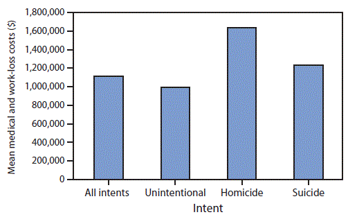 The figure above is a bar chart showing the mean medical and work-loss costs per injury death, by intent, in the United States during 2013.