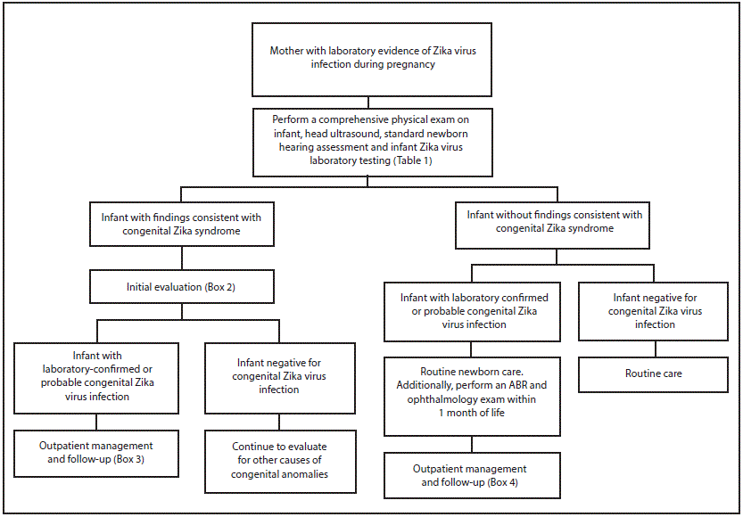 La imagen de arriba es un diagrama que describe las pruebas de detección de virus del Zika y evaluación recomendadas para bebés nacidos de madres con evidencia de laboratorio de infección por el virus del Zika en el embarazo.