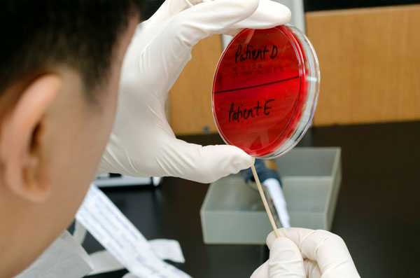 Camper collects samples to use in Pulsed-field gel electrophoresis (PFGE) lab.