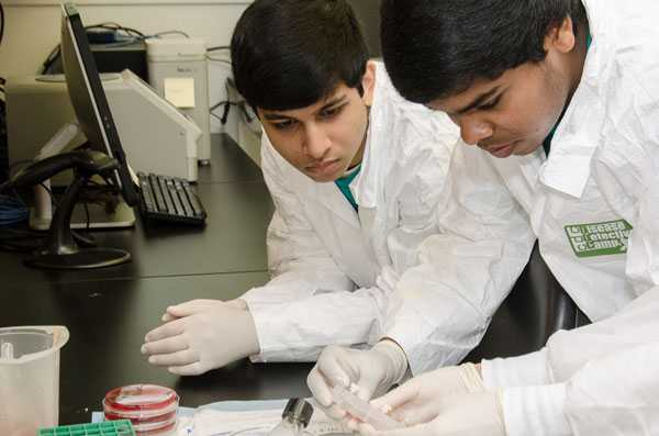 Students examine plugs for lab activity.