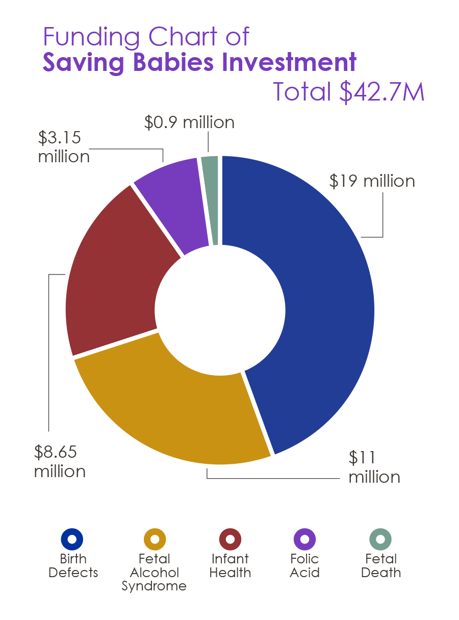 Funding Chart of Saving Babies Investment Total $42.7 million. Comprised of: $19 million birth defects. $11 million Fetal Alcohol Syndrome. $8.65 Infant Health. $3.15 million folic acid. $0.9 million fetal death. 