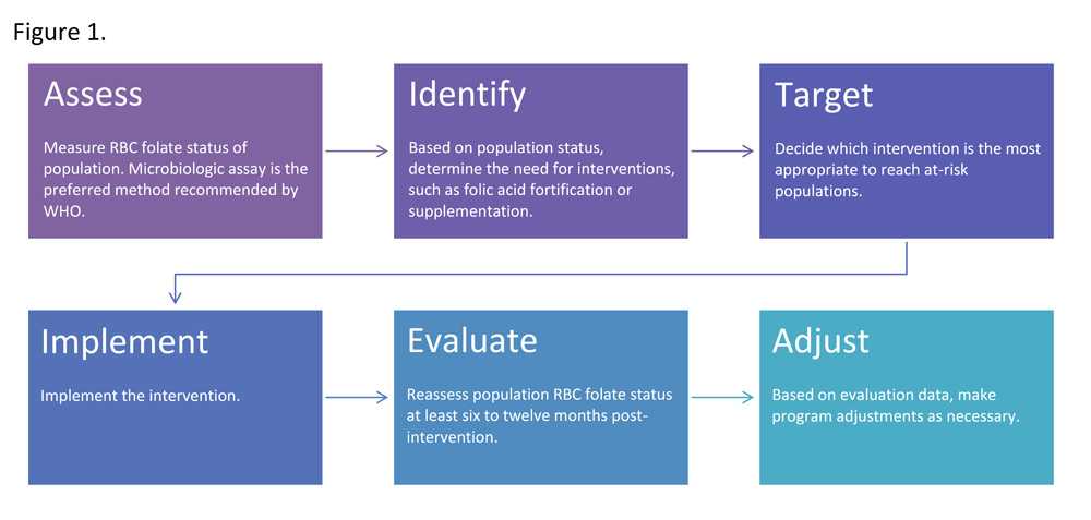 Flow chart: Assess, Identify, Target, Implement, Evaluate, Adjust