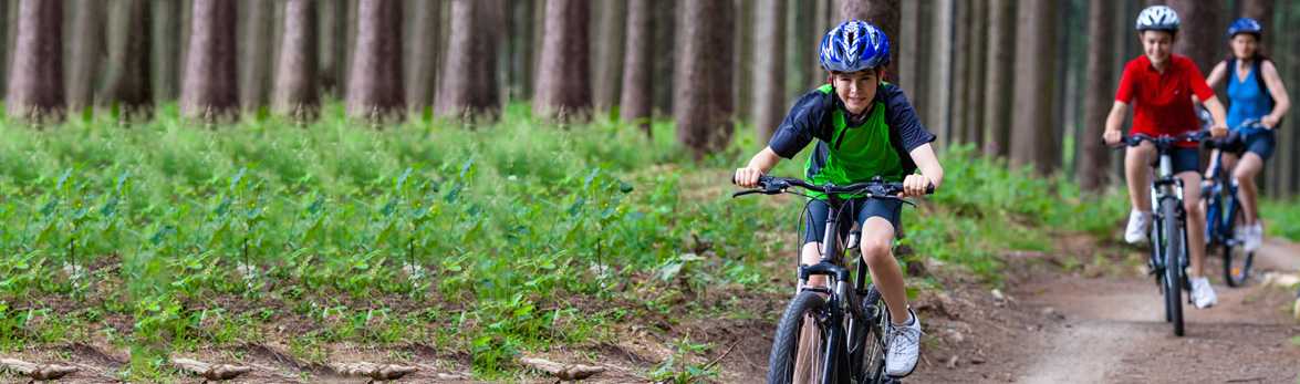 Three kids riding bikes in the woods