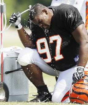 Foto: Geno Atkins en su camiseta Bengals