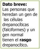 Dato breve: Las personas que heredan un gen de las células drepanocíticas (falciformes) y un gen normal tienen el rasgo drepanocítico.