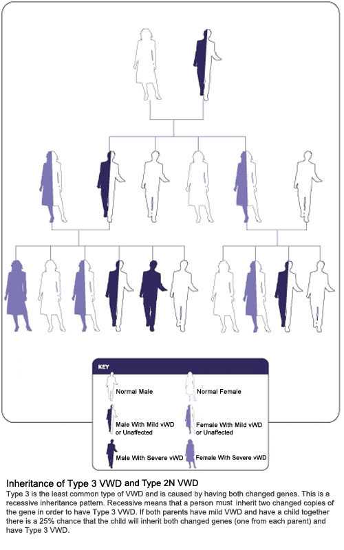 Inheritance of Type 3 VWD