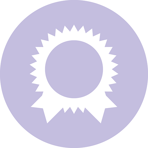 Certificate Icon