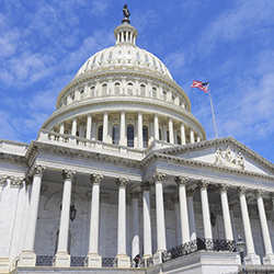 U.S. Capitol