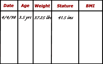 Example data entry table