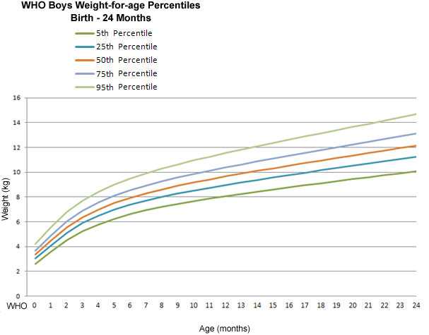 The horizontal axis shows the age in months from 0 to 24 months. 
The vertical axis shows the weight in kilograms from 0 to 16 kilograms (kg). 
The dark green line represents the 5th percentile. It starts at over 2 kg at 0 months and ends at 10 kg at 24 months. 
The dark blue line represents the 25th percentile. It starts at about 3 kg at 0 months and ends at about 11 kg at 24 months. 
The orange line represents the 50th percentile. It starts at over 3 kg at 0 months and ends at about 12 kg at 24 months. 
The light blue line represents the 75th percentile. It starts at under 4 kg at 0 months and ends at about 13 kg at 24 months.  
The light green line represents the 95th percentile. It starts at over 4 kg at 0 months and ends at over 14 kg at 24 months.
