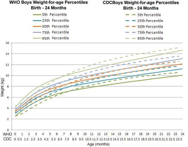 The horizontal axis shows the age in months from 0 to 24 months.
The vertical axis shows the weight in kilograms from 0 to 16 kilograms (kg). 
The solid lines represent the WHO boys weight for age percentiles. 
The dark green line represents the 5th percentile. It starts at over 2 kg at 0 months and ends at 10 kg at 24 months. 
The dark blue line represents the 25th percentile. It starts at about 3 kg at 0 months and ends at about 11 kg at 24 months. 
The orange line represents the 50th percentile. It starts at over 3 kg at 0 months and ends at about 12 kg at 24 months. 
The light blue line represents the 75th percentile. It starts at under 4 kg at 0 months and ends at about 13 kg at 24 months.  
The light green line represents the 95th percentile. It starts at over 4 kg at 0 months and ends at over 14 kg at 24 months. 
The dashed lines represent the CDC boys weight for age percentiles. 
The dashed dark green line represents the 5th percentile. It starts at over 2 kg at 0 months and ends at over 10 kg at 23.5 months. 
The dashed dark blue line represents the 25th percentile. It starts at about 3 kg at 0 months and ends at over 11 kg at 23.5 months. 
The dashed orange line represents the 50th percentile. It starts at over 3 kg at 0 months and ends at over 12 kg at 23.5 months. 
The dashed light blue line represents the 75th percentile. It starts at about 4 kg at 0 months and ends at over 13 kg at 23.5 months.  
The dashed light green line represents the 95th percentile. It starts at over 4 kg at 0 months and ends at about 15 kg at 23.5 months.
