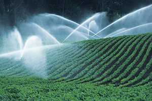 Field Irrigation System