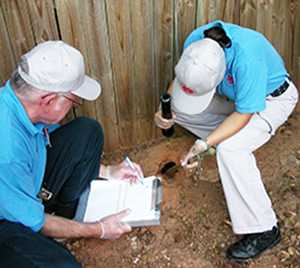 Photo of 2 people inspecting a rodent hole.